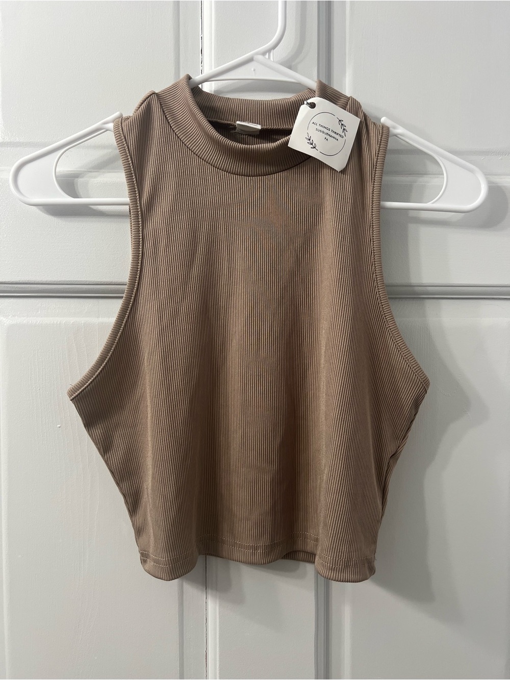 Ribbed Mock Neck Cropped Tank Top - Taupe